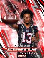 13 Andre