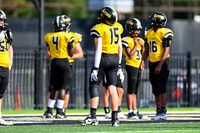 Dutchtown