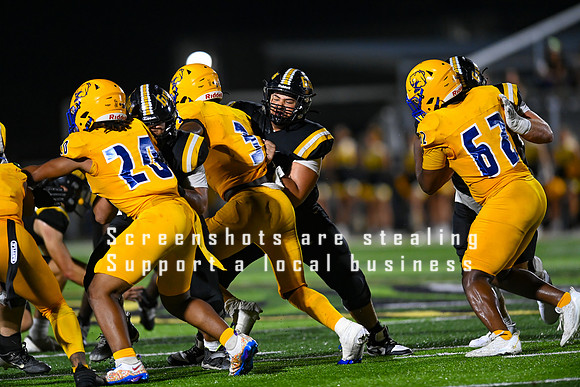 AS5_1250