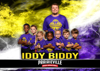 Iddy Biddy Purple-Gold
