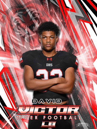 33 David