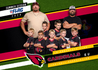06 Cardinals-photos