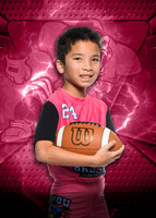 AS4_2061