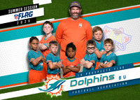 08 Dolphins-photos