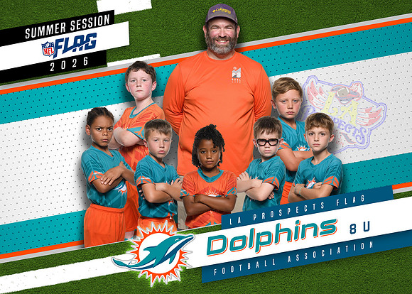 Team (Dolphins)