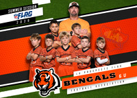 Team (Bengals)