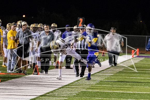 Berry Bowl 2017