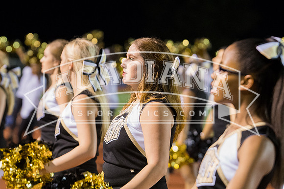 Berry Bowl 2017