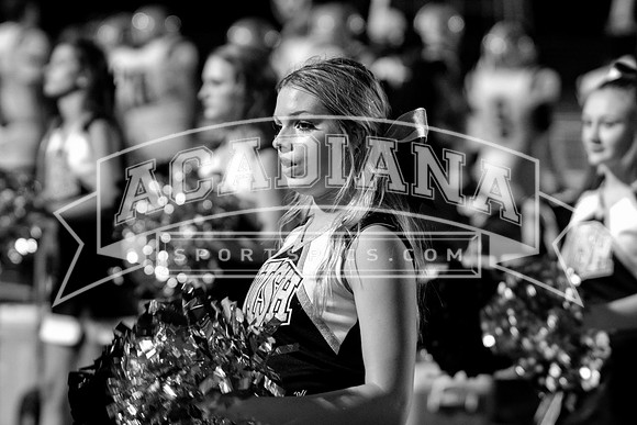 Berry Bowl 2017