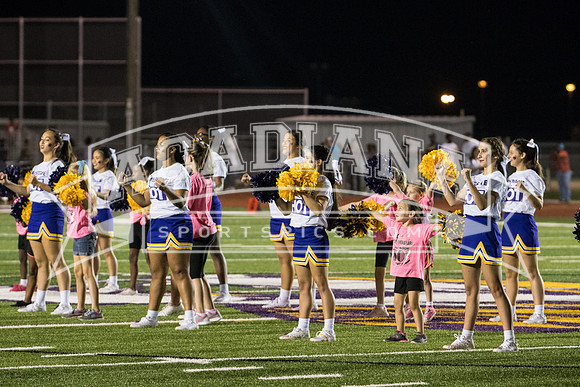 Berry Bowl 2017