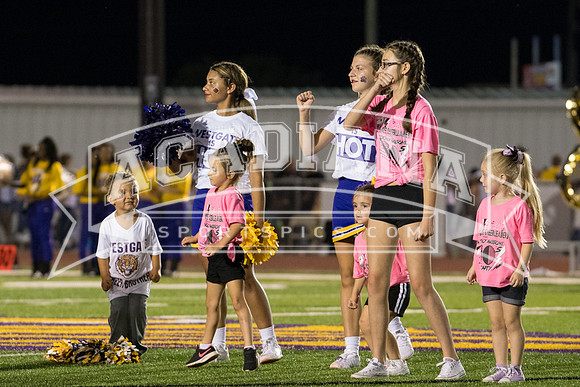 Berry Bowl 2017