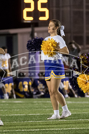 Berry Bowl 2017