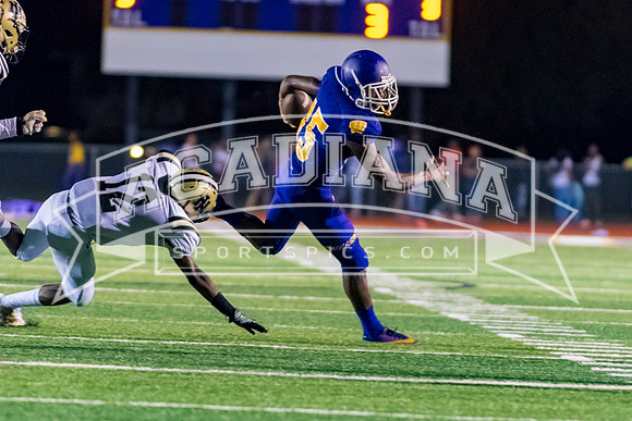 Berry Bowl 2017