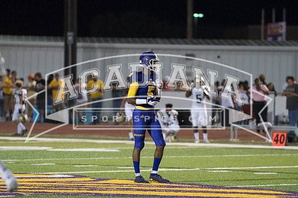 Berry Bowl 2017