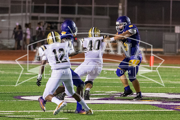 Berry Bowl 2017