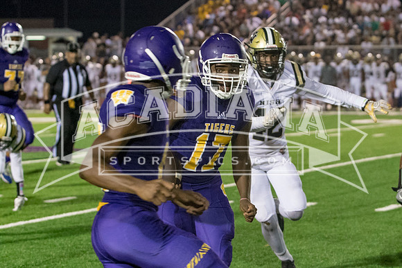 Berry Bowl 2017