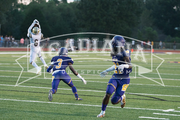 Berry Bowl 2017