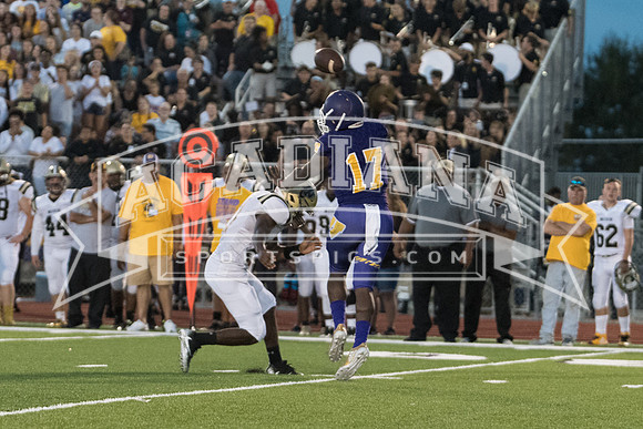 Berry Bowl 2017