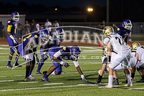 Berry Bowl 2017