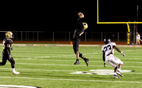 Barbe vs. NISH