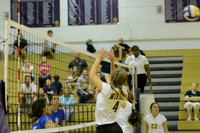 David Thibodeaux vs. WHS