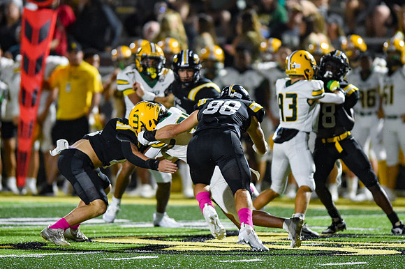 10112024Walker V STA0100