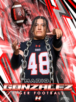 48 Mario