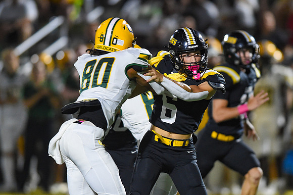 10112024Walker V STA0088